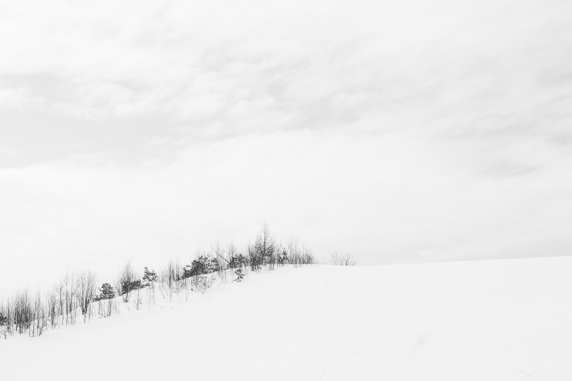 Cover Image for The magic of dreams